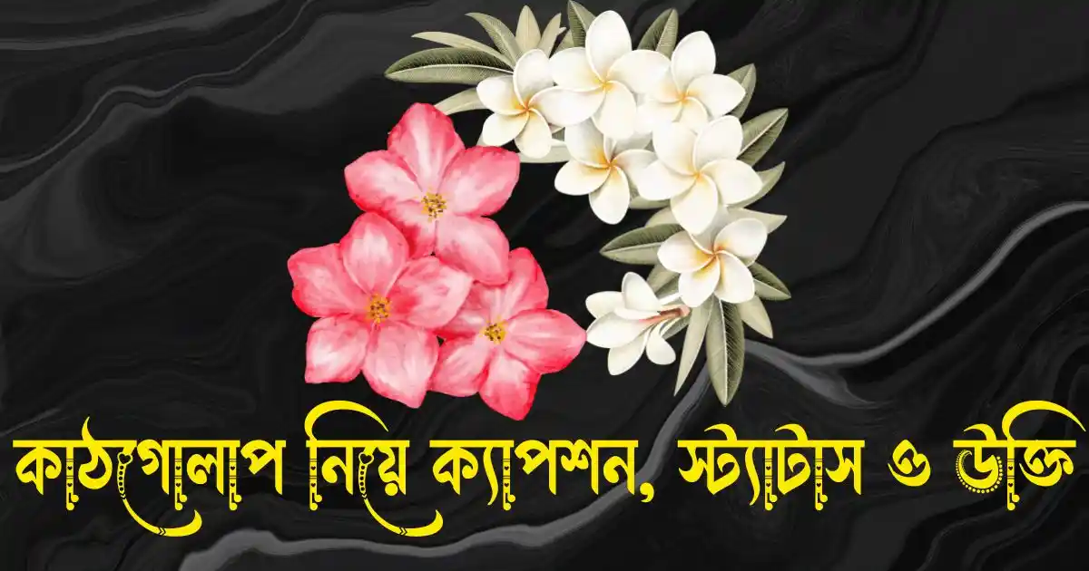 কাঠগোলাপ নিয়ে ক্যাপশন, স্ট্যাটাস, উক্তি, ছন্দ ও কবিতা