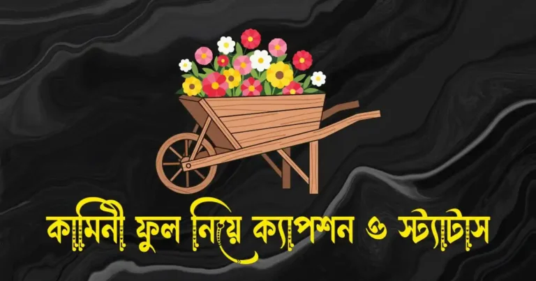 কামিনী ফুল নিয়ে ক্যাপশন, স্ট্যাটাস, উক্তি ও কবিতা