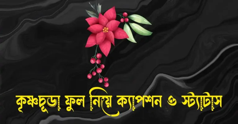 কৃষ্ণচূড়া ফুল নিয়ে ক্যাপশন, স্ট্যাটাস, উক্তি, ছন্দ ও কিছু কথা