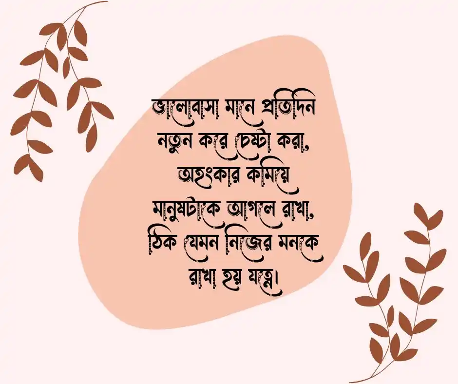 ক্যাপশন Caption