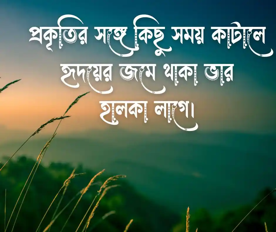 ক্যাপশন বাংলা ফেসবুক ফেসবুক বাংলা ক্যাপশন