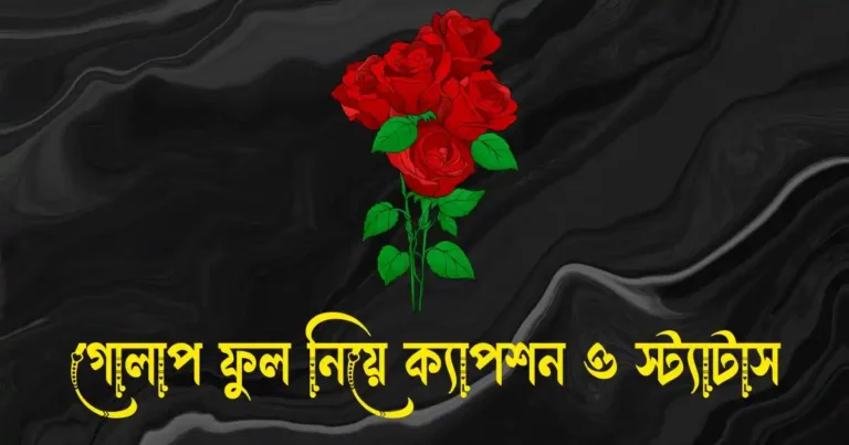 গোলাপ ফুল নিয়ে ক্যাপশন, স্ট্যাটাস, ছন্দ ও কিছু কথা