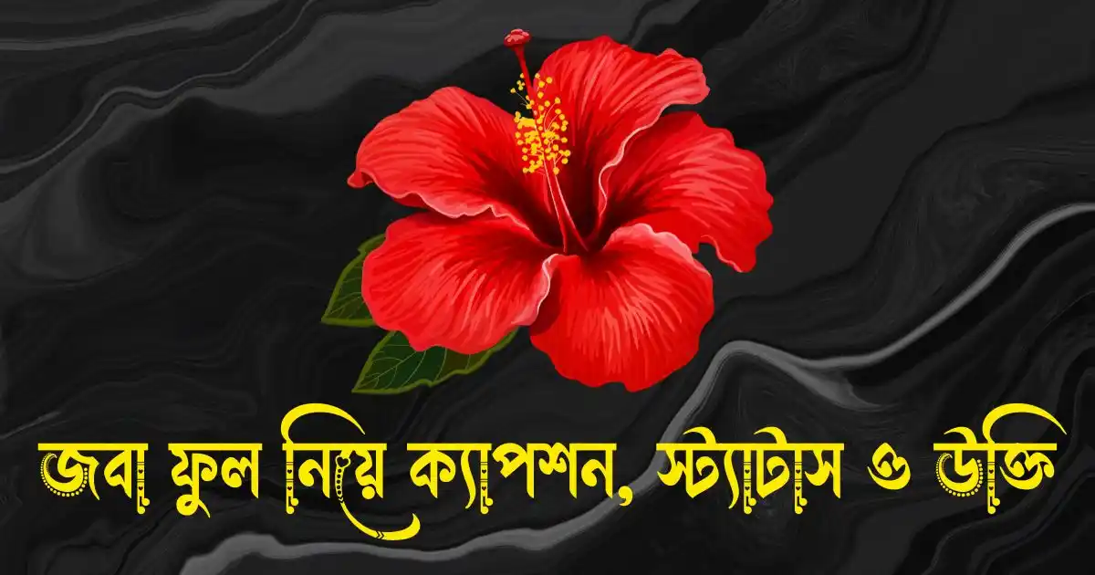 জবা ফুল নিয়ে ক্যাপশন, স্ট্যাটাস, উক্তি, ছন্দ ও কবিতা