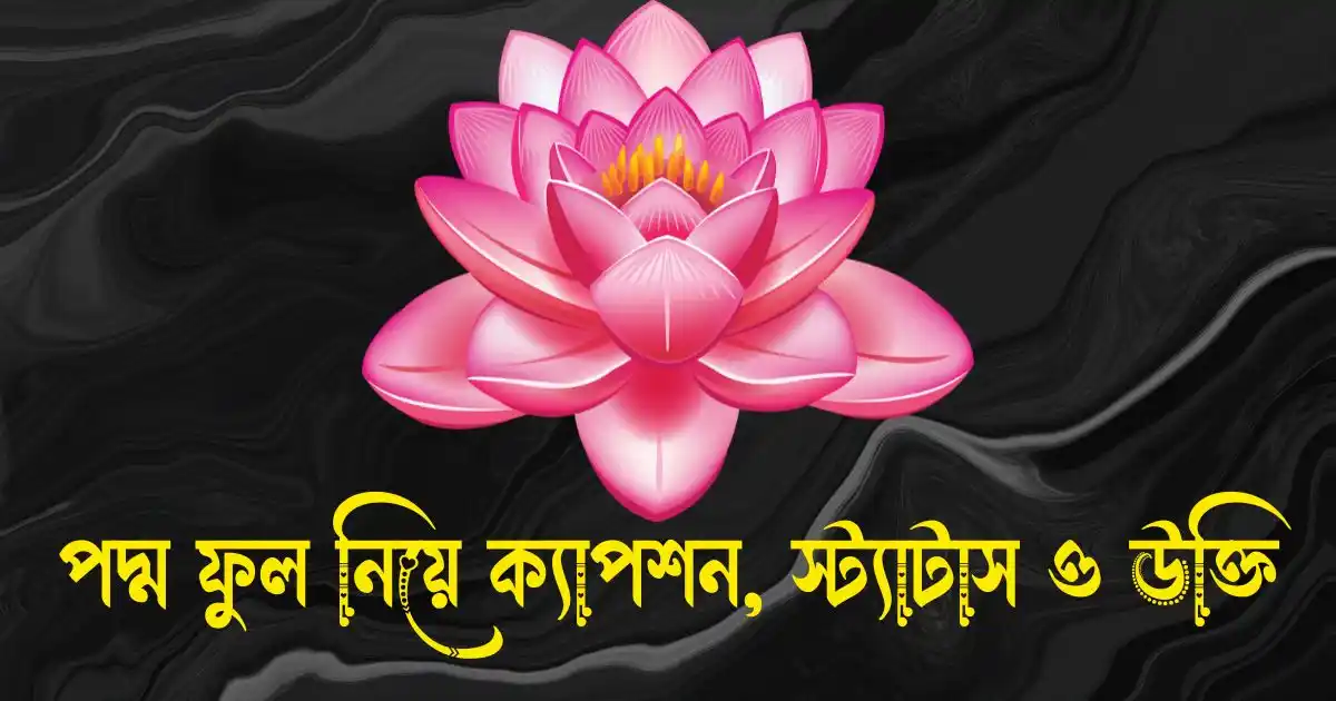 পদ্ম ফুল নিয়ে ক্যাপশন, স্ট্যাটাস, উক্তি, ছন্দ ও কবিতা