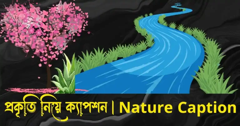 প্রকৃতি নিয়ে ক্যাপশন - সবুজ প্রকৃতি নিয়ে ক্যাপশন Nature Caption