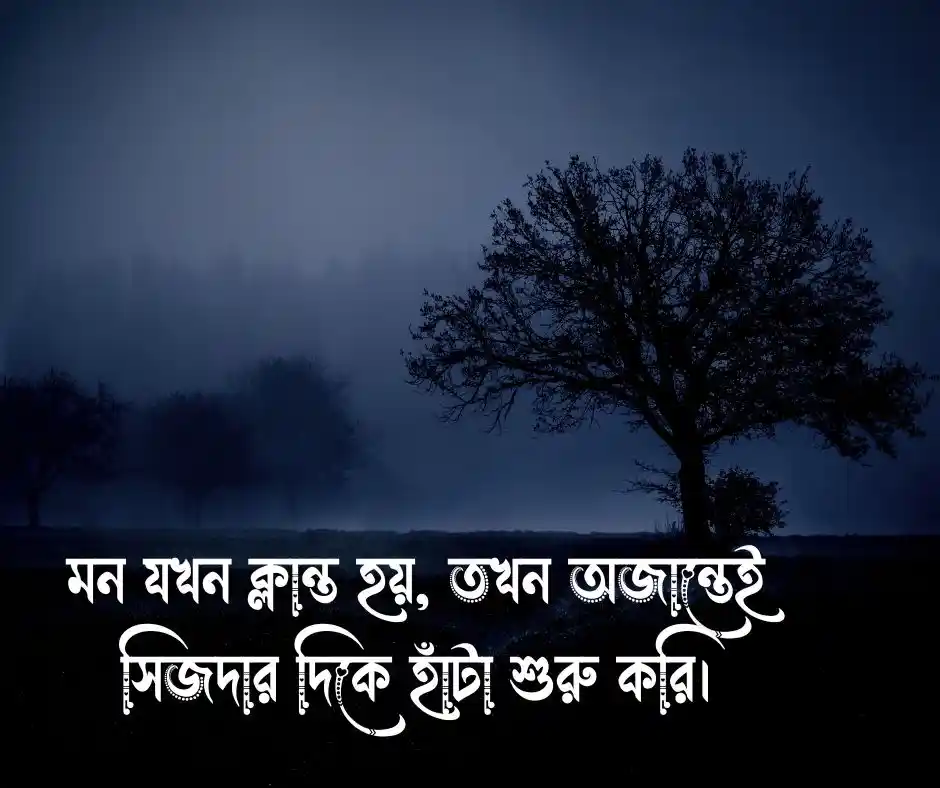 বাংলা শর্ট ক্যাপশন উক্তি বাংলা শর্ট ক্যাপশন নতুন