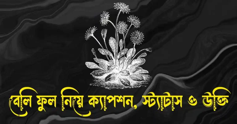 বেলি ফুল নিয়ে ক্যাপশন, স্ট্যাটাস, উক্তি, ছন্দ ও কবিতা