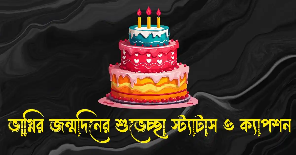 ভাগ্নির জন্মদিনের শুভেচ্ছা স্ট্যাটাস, ক্যাপশন ও কবিতা