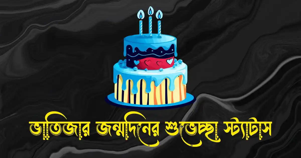 ভাতিজার জন্মদিনের শুভেচ্ছা স্ট্যাটাস ও ক্যাপশন
