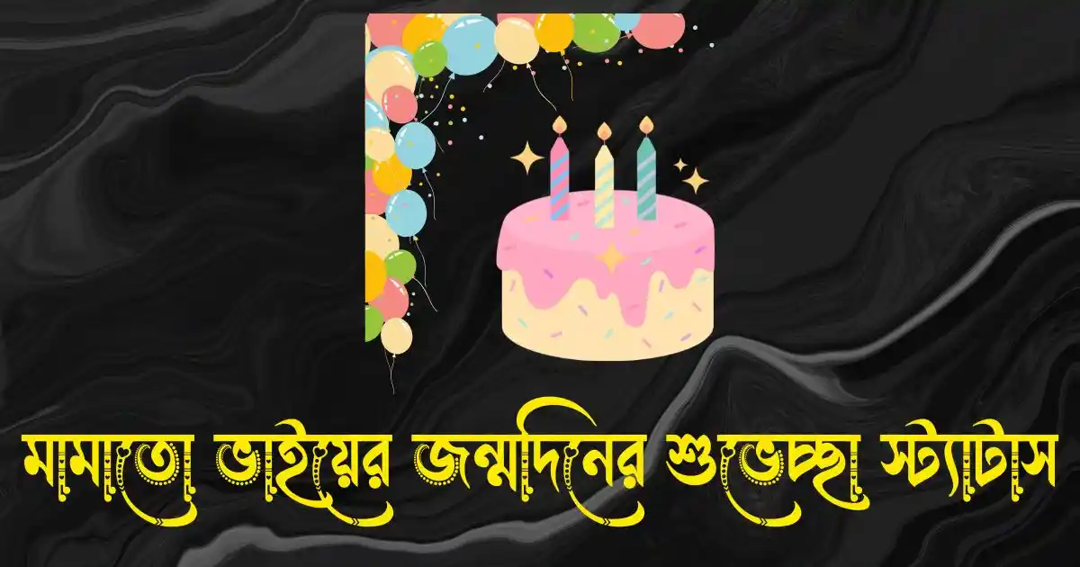 মামাতো ভাইয়ের জন্মদিনের শুভেচ্ছা স্ট্যাটাস ও ক্যাপশন