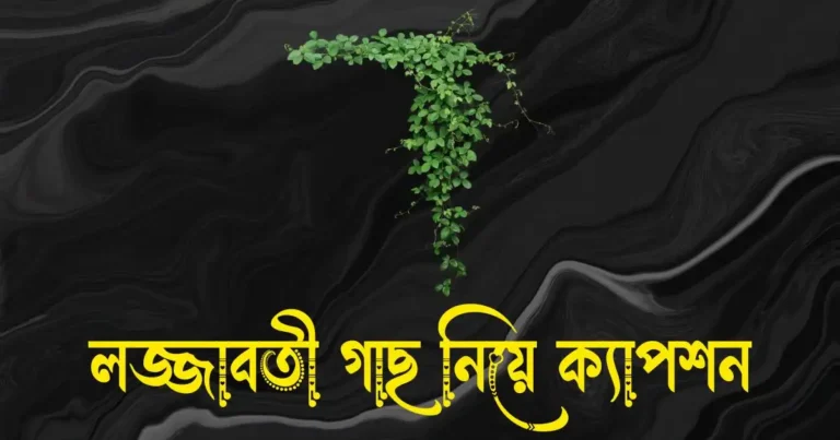 লজ্জাবতী গাছ নিয়ে ক্যাপশন, উক্তি ও কবিতা