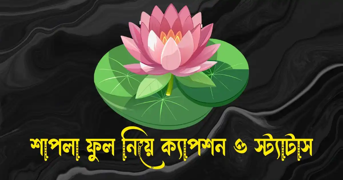 শাপলা ফুল নিয়ে ক্যাপশন, স্ট্যাটাস, উক্তি, ছন্দ ও কবিতা