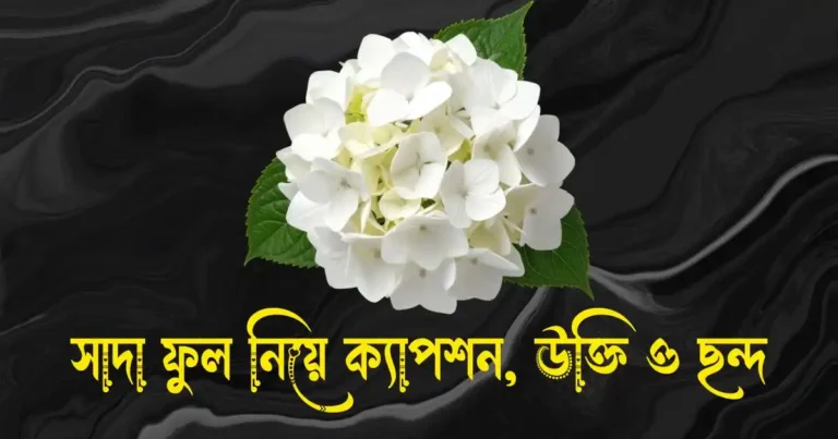 সাদা ফুল নিয়ে ক্যাপশন, উক্তি, ছন্দ ও কবিতা