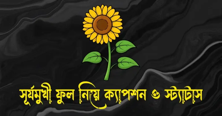 সূর্যমুখী ফুল নিয়ে ক্যাপশন, স্ট্যাটাস, উক্তি, ছন্দ ও কবিতা