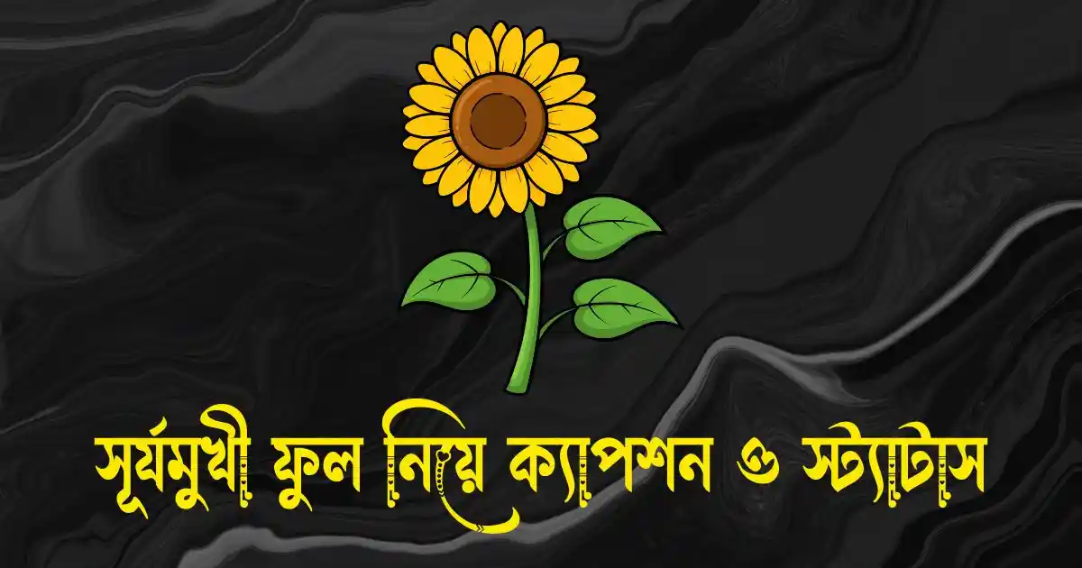 সূর্যমুখী ফুল নিয়ে ক্যাপশন, স্ট্যাটাস, উক্তি, ছন্দ ও কবিতা