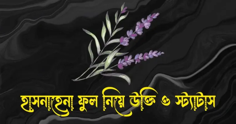 হাসনাহেনা ফুল নিয়ে উক্তি, স্ট্যাটাস, ক্যাপশন ও কবিতা