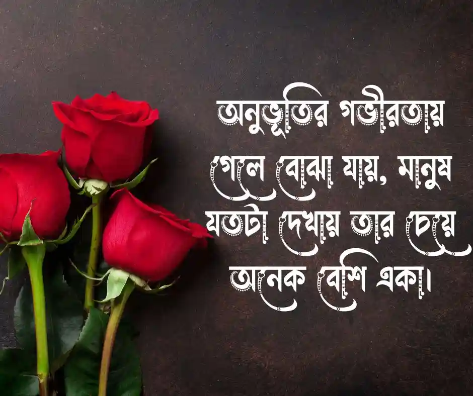 অনুভূতি স্ট্যাটাস অনুভূতি নিয়ে স্ট্যাটাস (1)