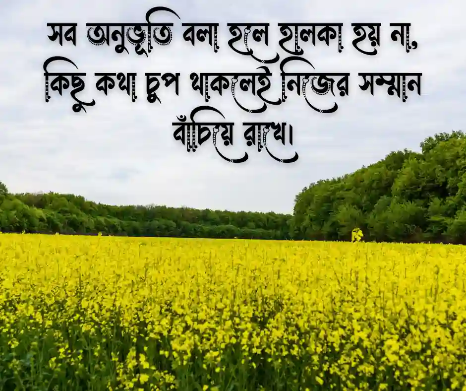অপ্রকাশিত অনুভূতি নিয়ে ক্যাপশন