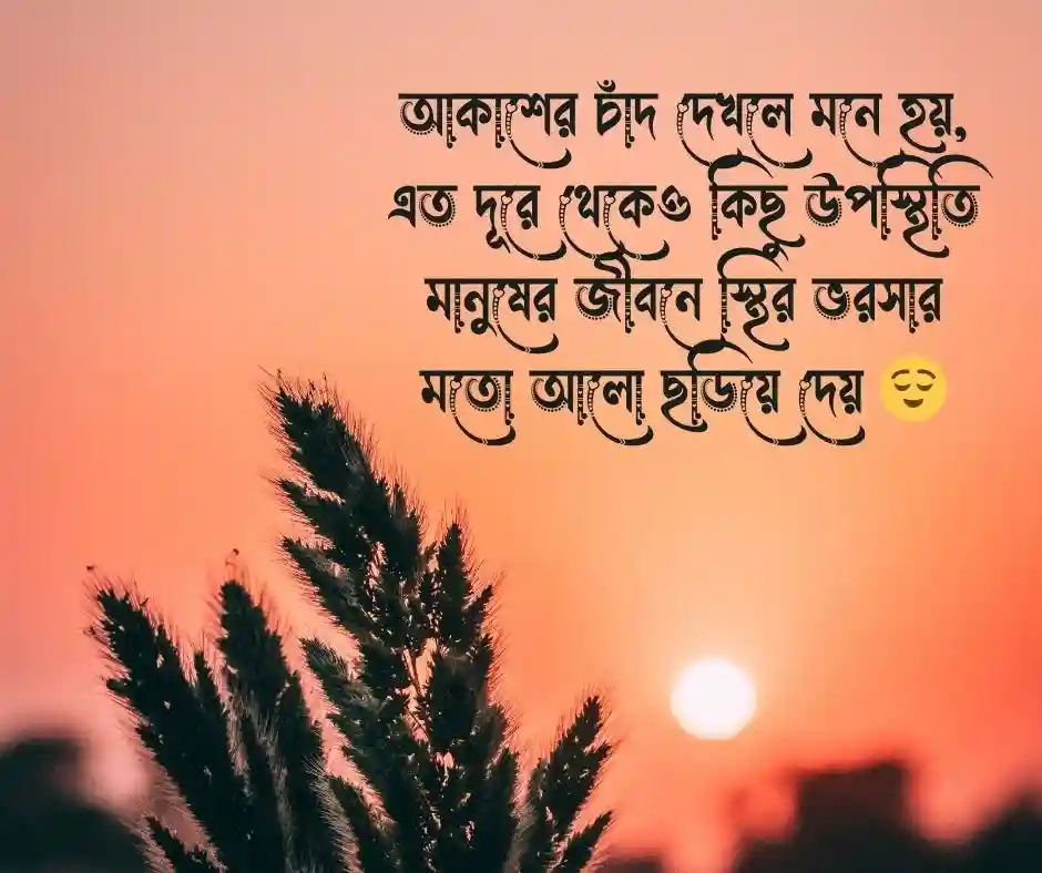 আকাশের চাঁদ নিয়ে ক্যাপশন