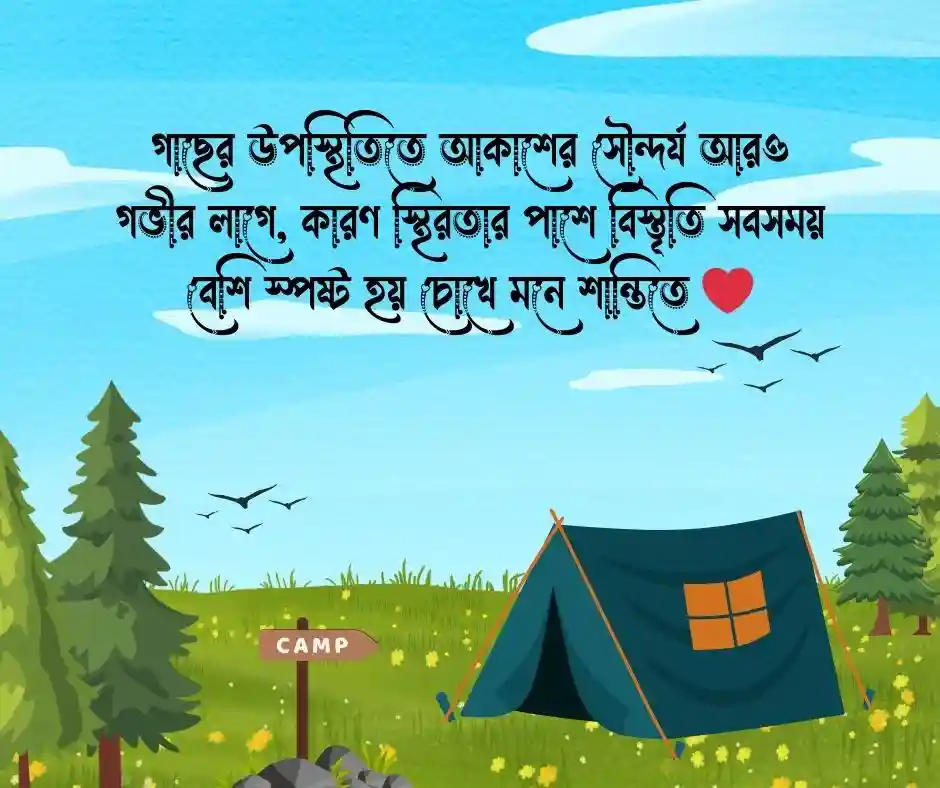 আকাশ ও গাছের সৌন্দর্য নিয়ে উক্তি