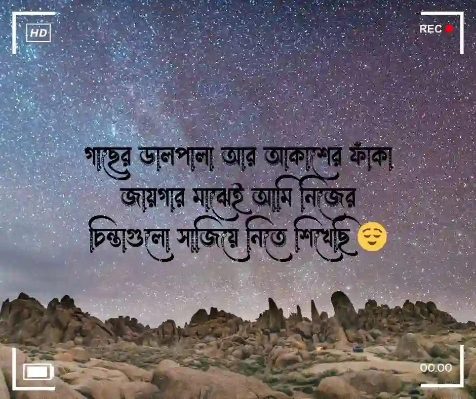 আকাশ ও গাছ নিয়ে ক্যাপশন