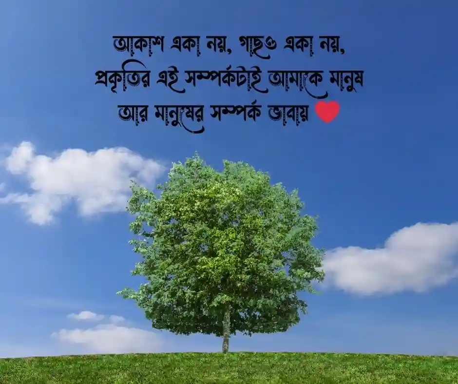 আকাশ ও গাছ নিয়ে স্ট্যাটাস