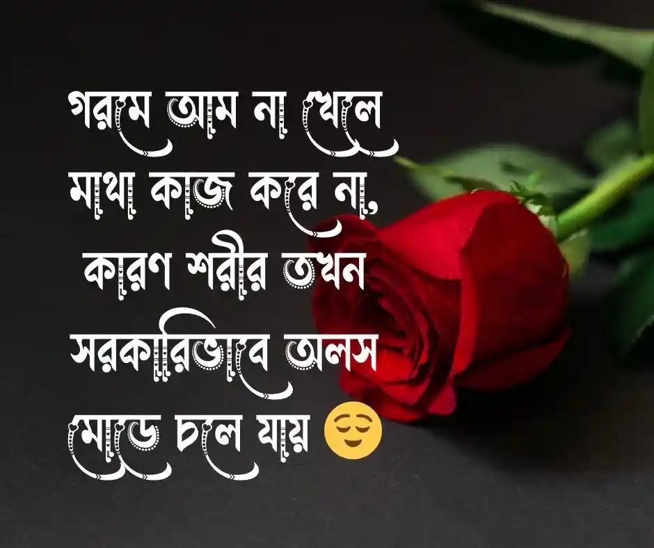 আম নিয়ে ফানি পোস্ট