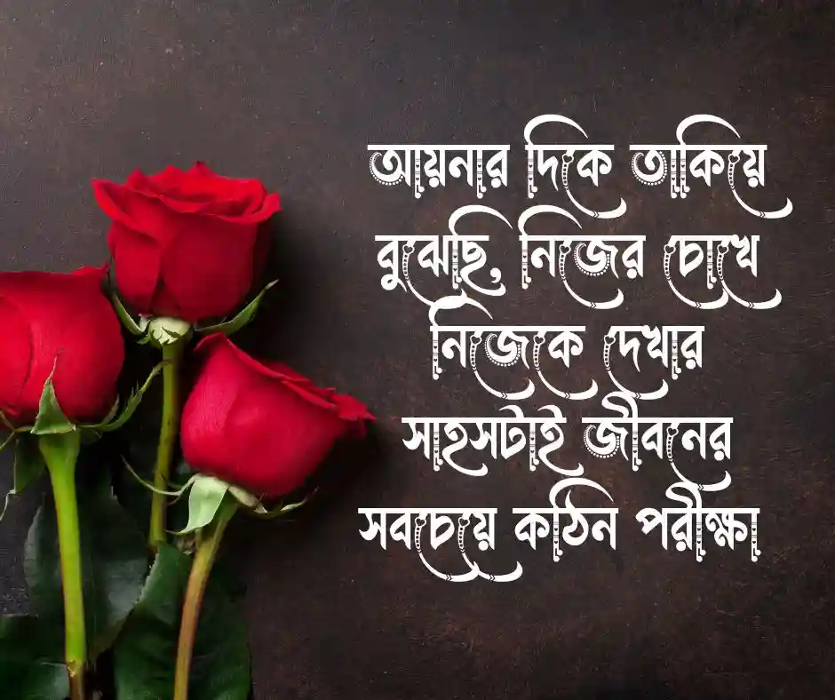আয়না নিয়ে উক্তি