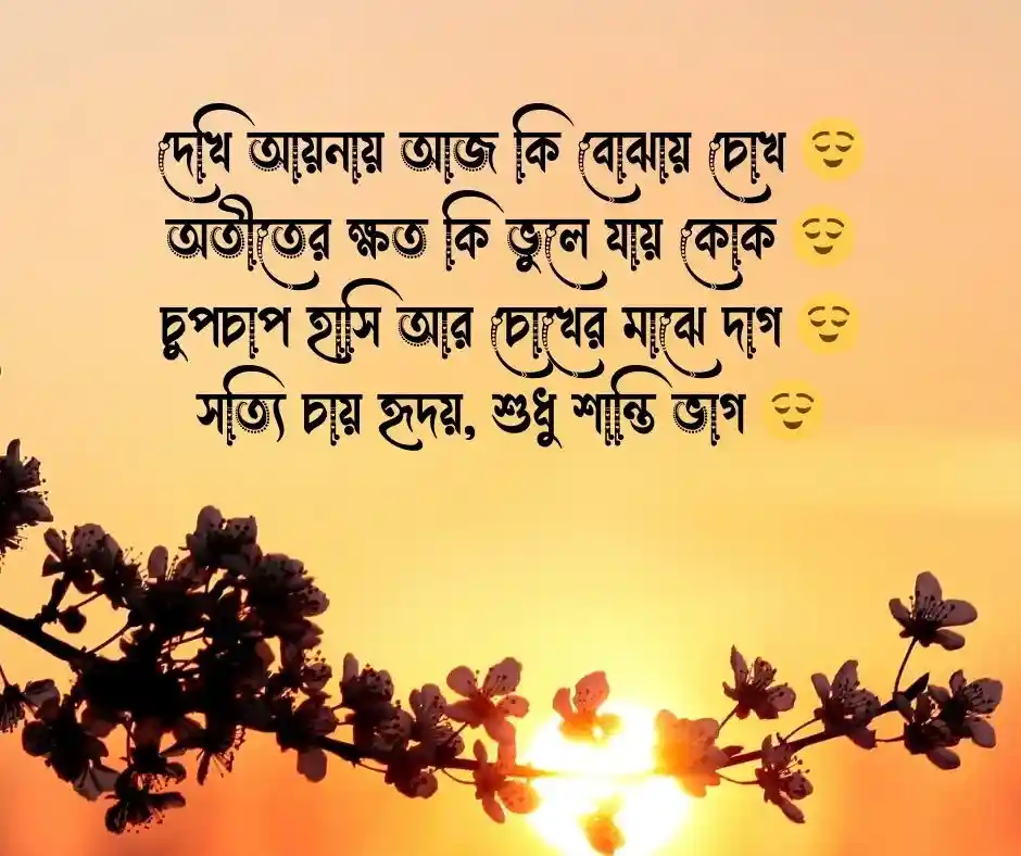 আয়না নিয়ে ছন্দ