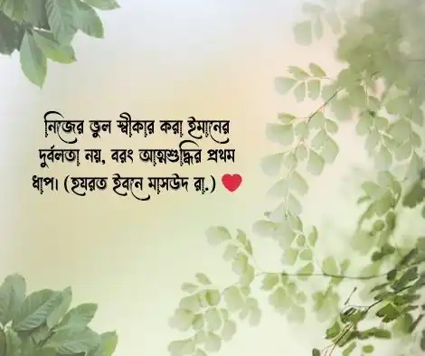 ইসলামিক শিক্ষামূলক উক্তি