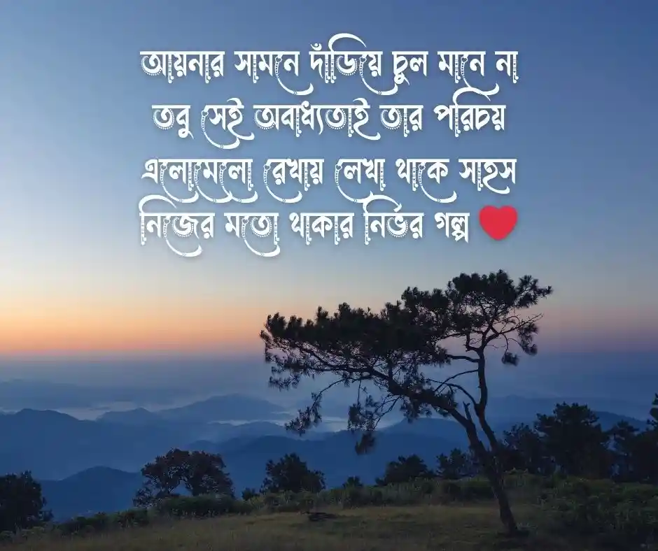 এলোমেলো চুল নিয়ে কবিতা