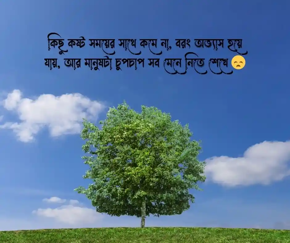 কষ্টের স্ট্যাটাস পিক Sad Pic