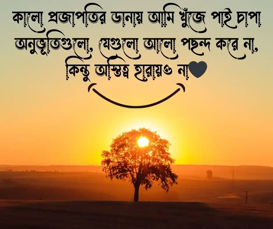 কালো প্রজাপতি নিয়ে ক্যাপশন Black Butterfly Caption Bangla