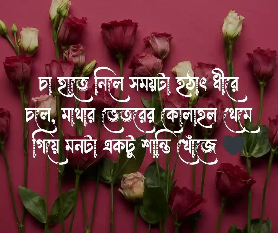 চা নিয়ে ক্যাপশন চা নিয়ে স্ট্যাটাস