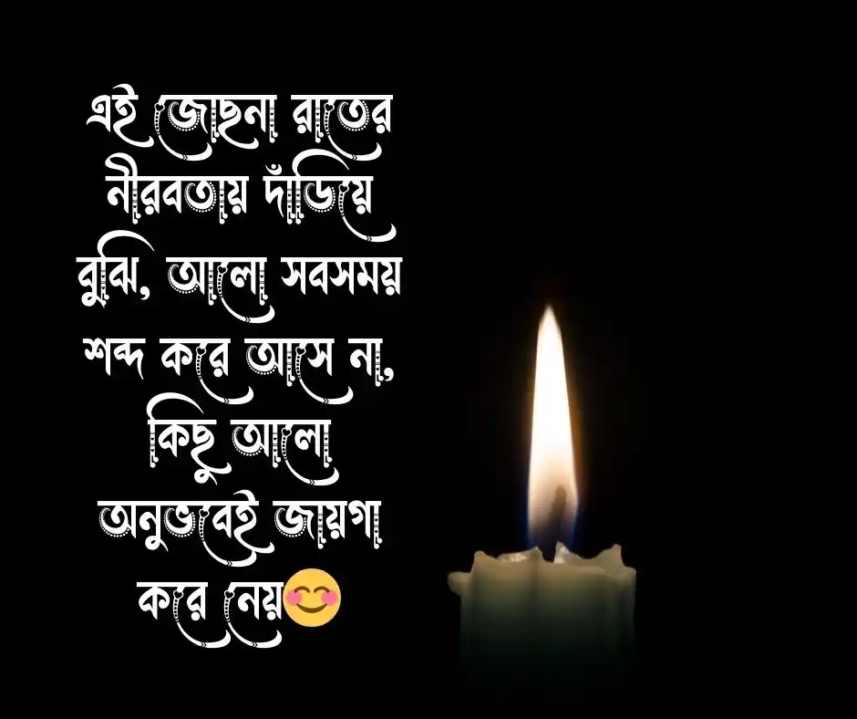 জোসনা রাত নিয়ে ক্যাপশন