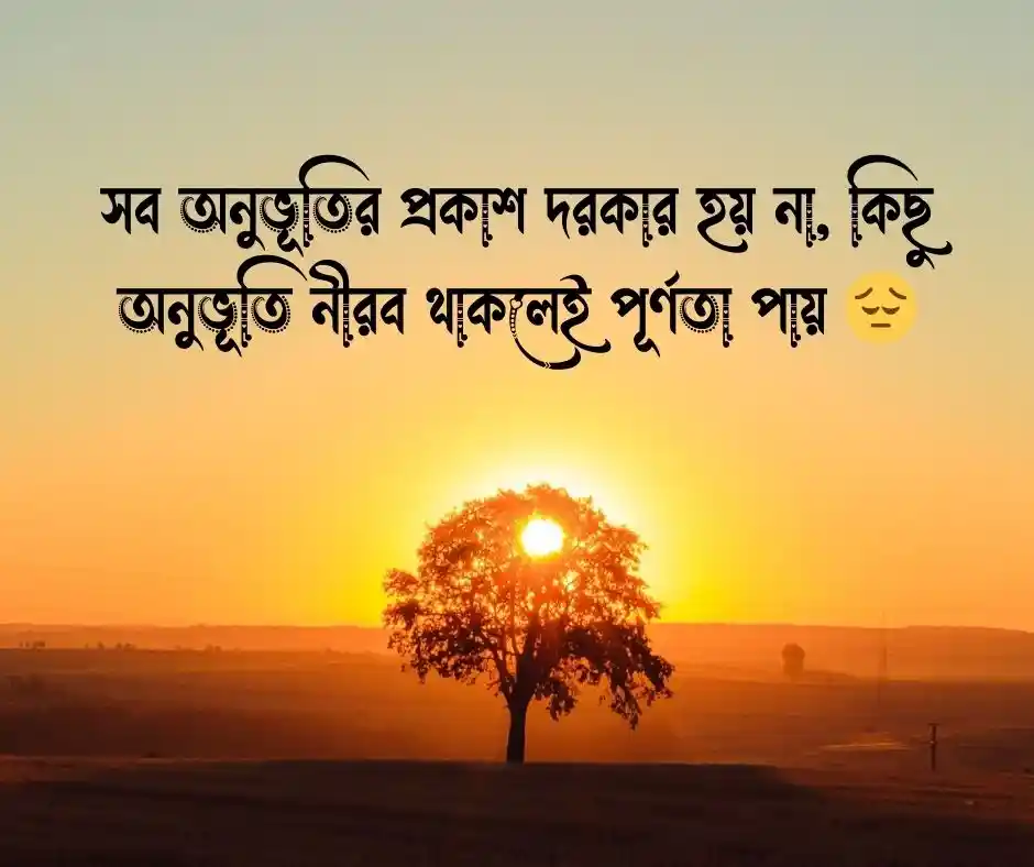 নীরবতা নিয়ে উক্তি নীরবতার উক্তি (1)