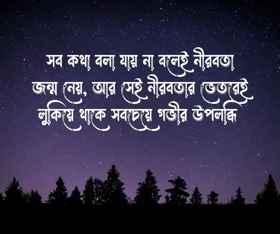 নীরবতা নিয়ে উক্তি নীরবতার উক্তি