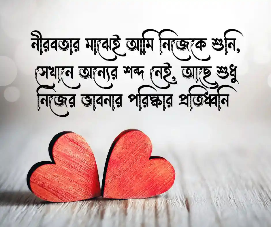 নীরবতা নিয়ে ক্যাপশন নীরবতার ক্যাপশন