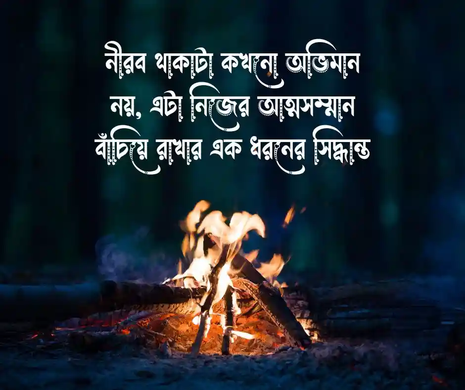 নীরবতা নিয়ে স্ট্যাটাস নীরবতার স্ট্যাটাস (2)