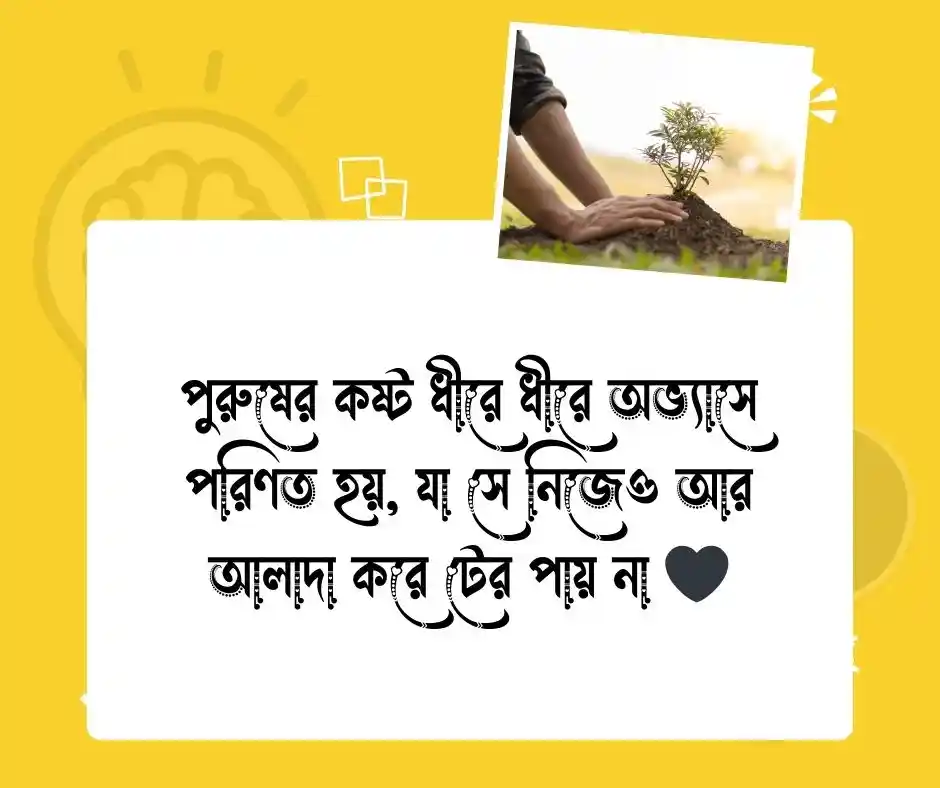 পুরুষ মানুষের কষ্ট নিয়ে স্ট্যাটাস