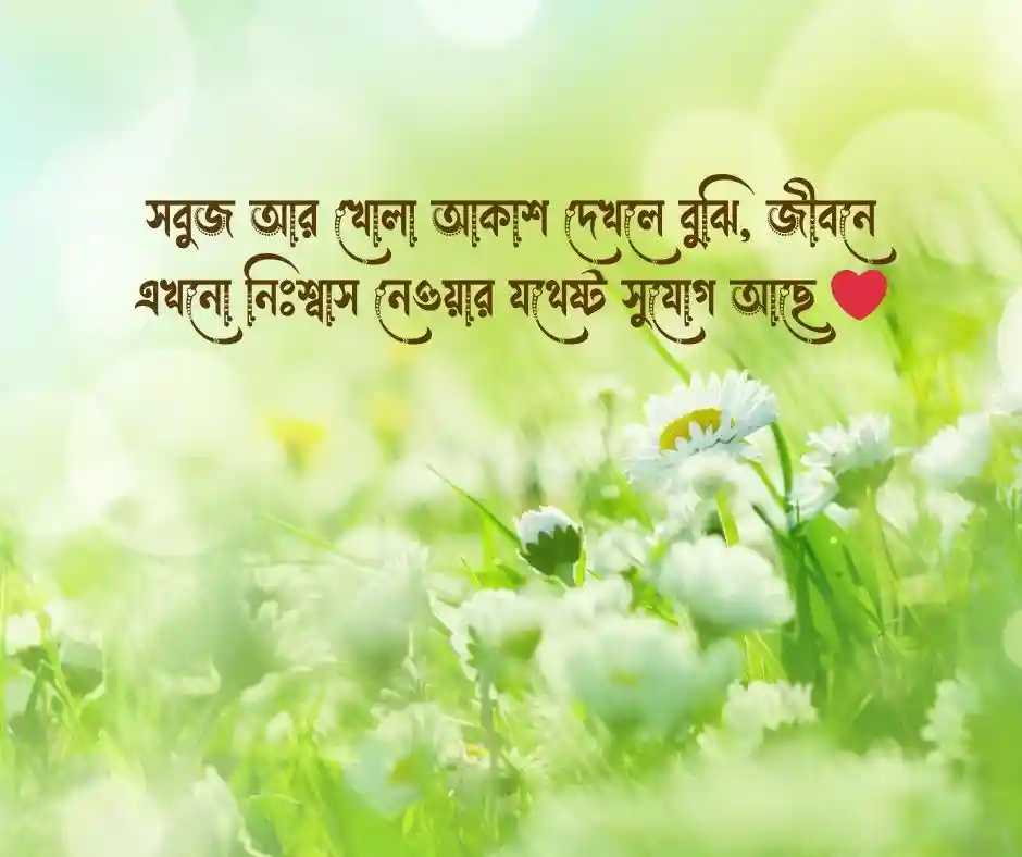গ্রামের প্রকৃতি নিয়ে ক্যাপশন