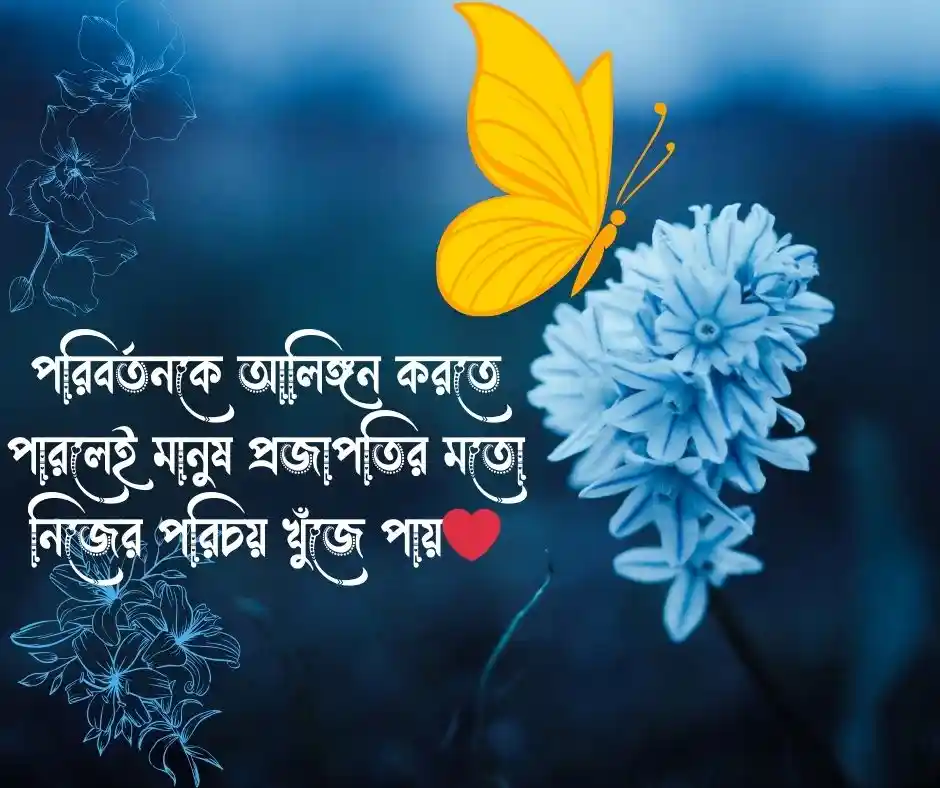 প্রজাপতির ছবি Butterfly Picture caption