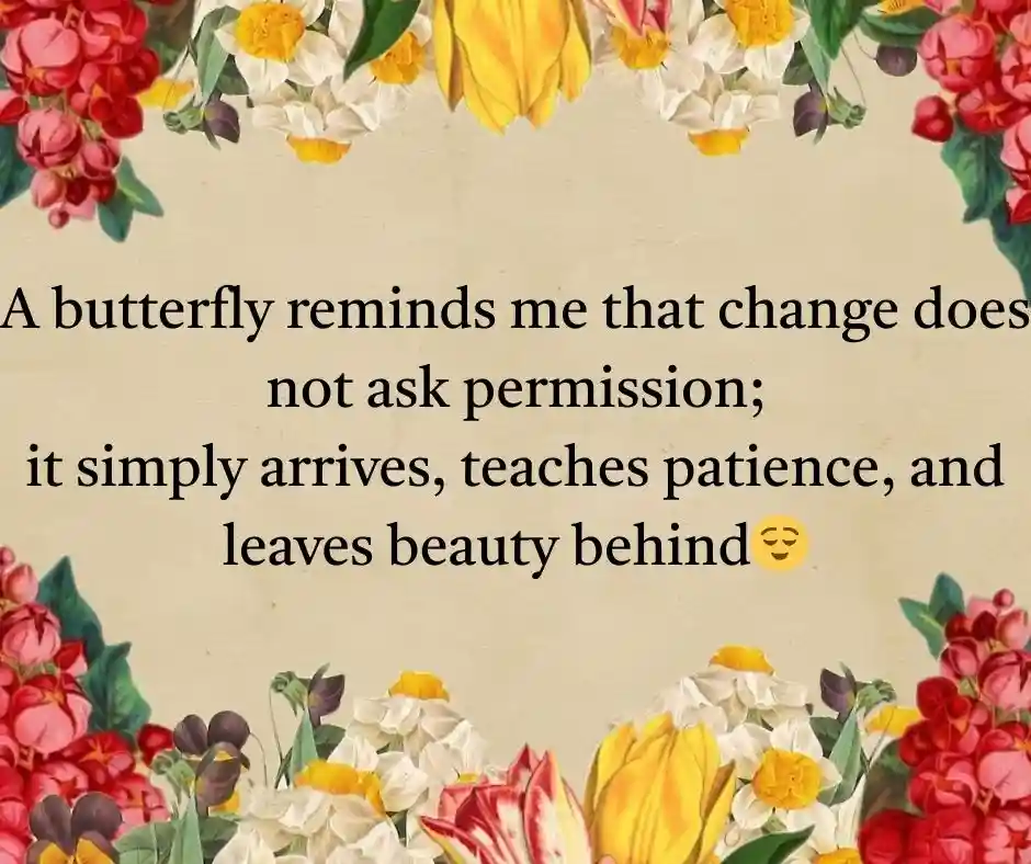 প্রজাপতি নিয়ে ক্যাপশন English Butterfly Caption English