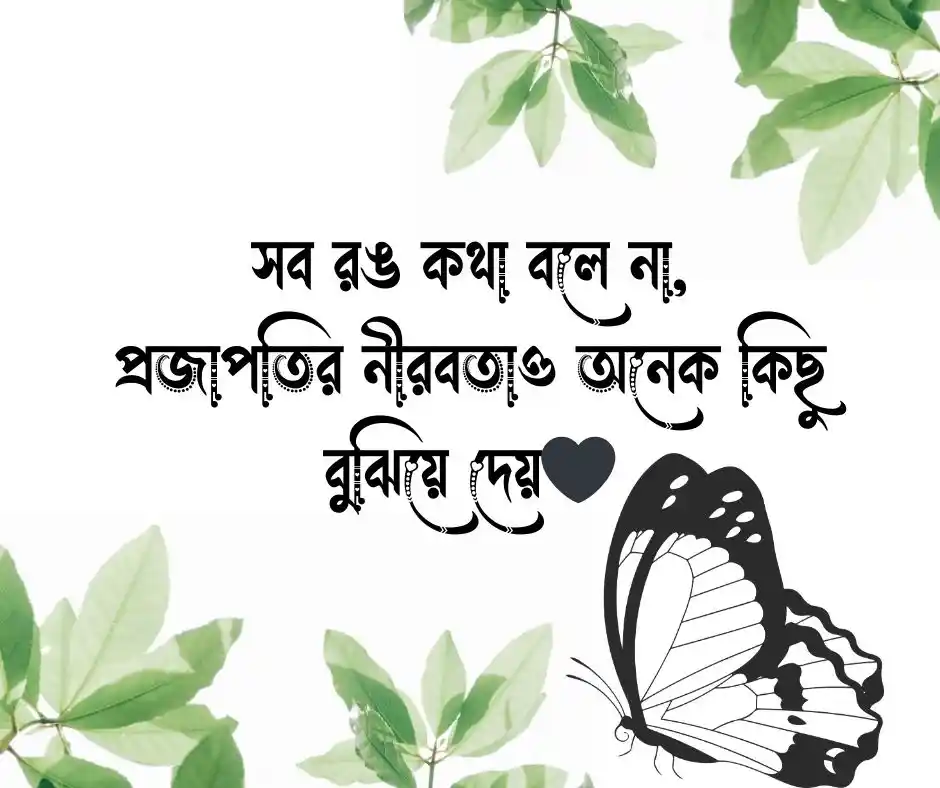 প্রজাপতি নিয়ে ছোট ক্যাপশন Butterfly Caption Short