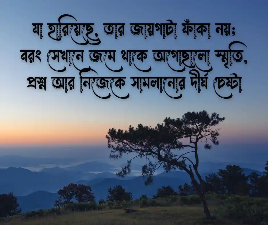 প্রিয় জিনিস হারিয়ে যাওয়া নিয়ে উক্তি