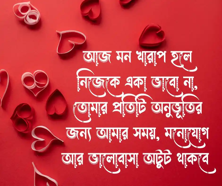 প্রিয় মানুষের মন ভালো করার মেসেজ