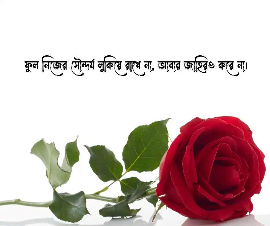ফুল নিয়ে উক্তি