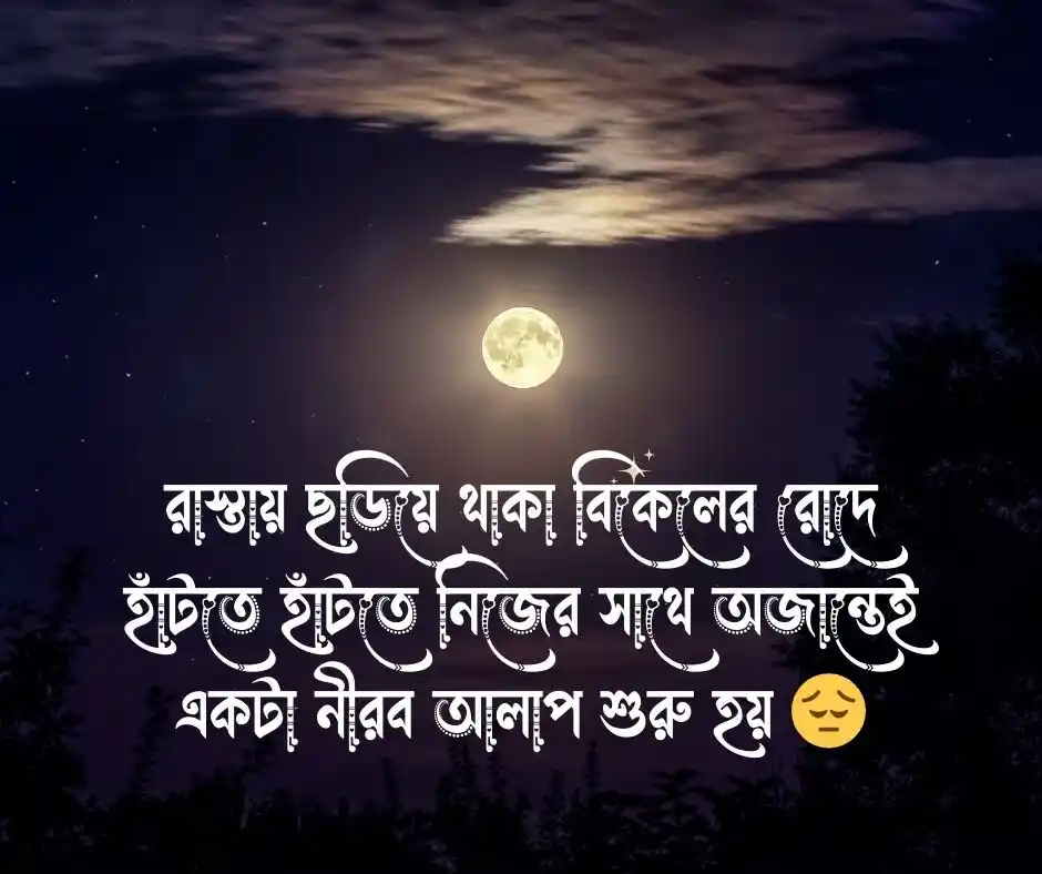 বিকেলের রোদ নিয়ে ক্যাপশন