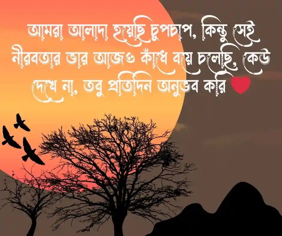 বিচ্ছেদ নিয়ে উক্তি