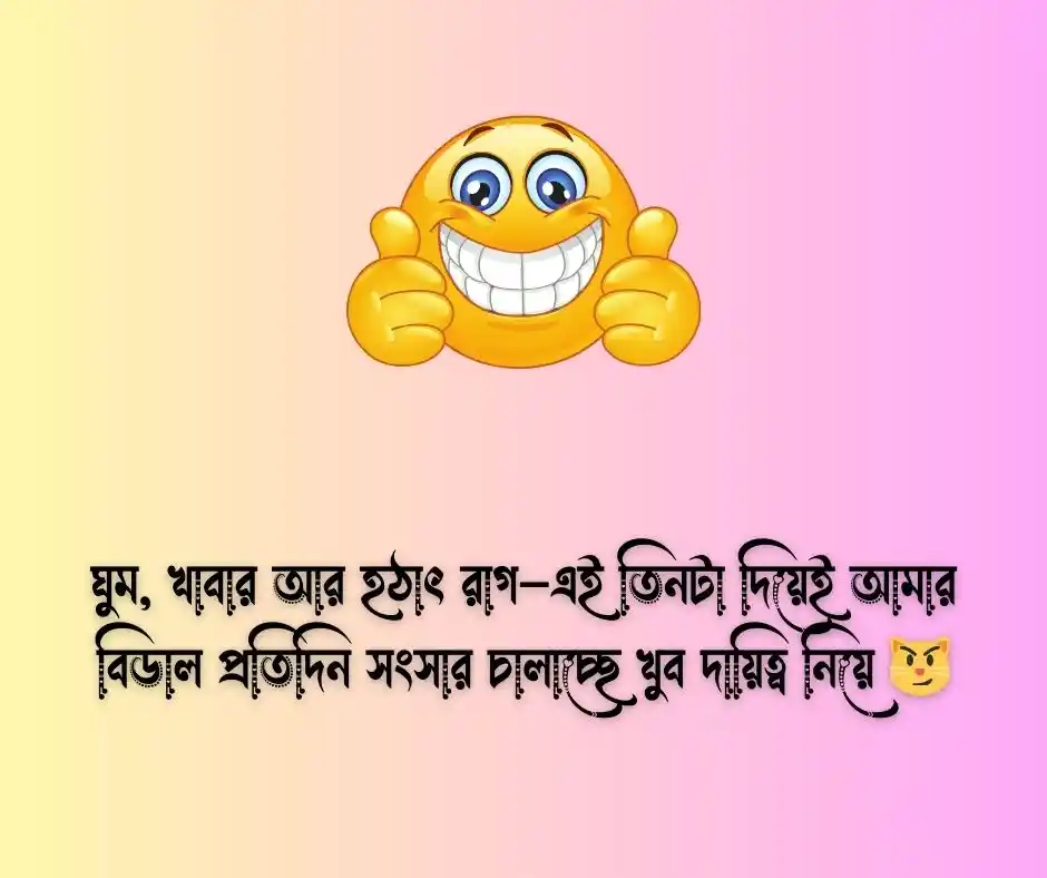 বিড়াল নিয়ে ফানি ক্যাপশন